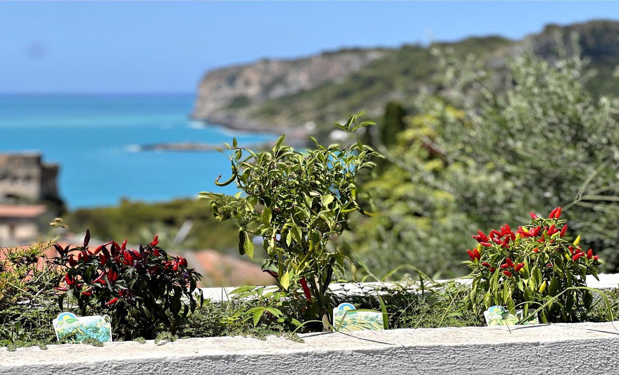 Villa Nappi Bed & Breakfast Praia a Mare Kültér fotó